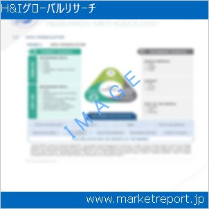 市場と産業調査レポートのイメージ